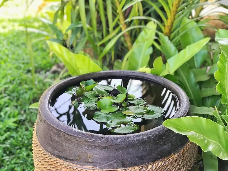 Verona Lanta Resort Koh Lanta